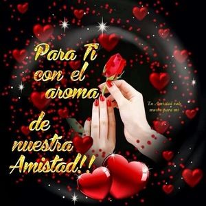 Meet your Posher, Vanessa